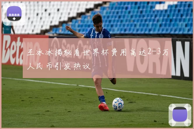 王冰冰揭秘看世界杯费用高达2-3万人民币引发热议