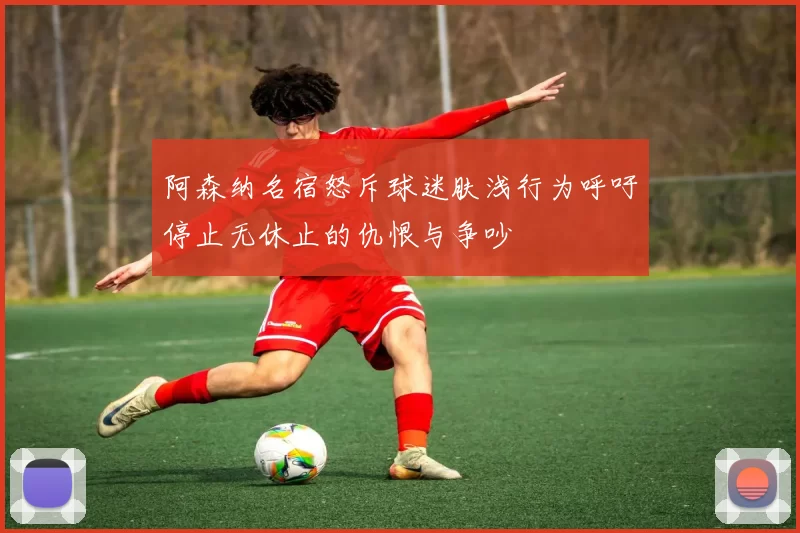 阿森纳名宿怒斥球迷肤浅行为呼吁停止无休止的仇恨与争吵