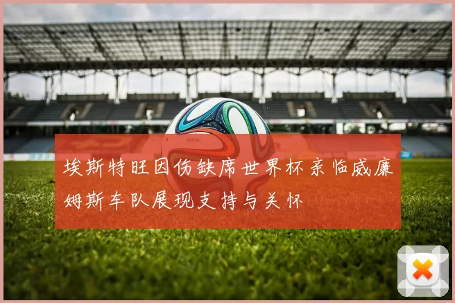埃斯特旺因伤缺席世界杯亲临威廉姆斯车队展现支持与关怀